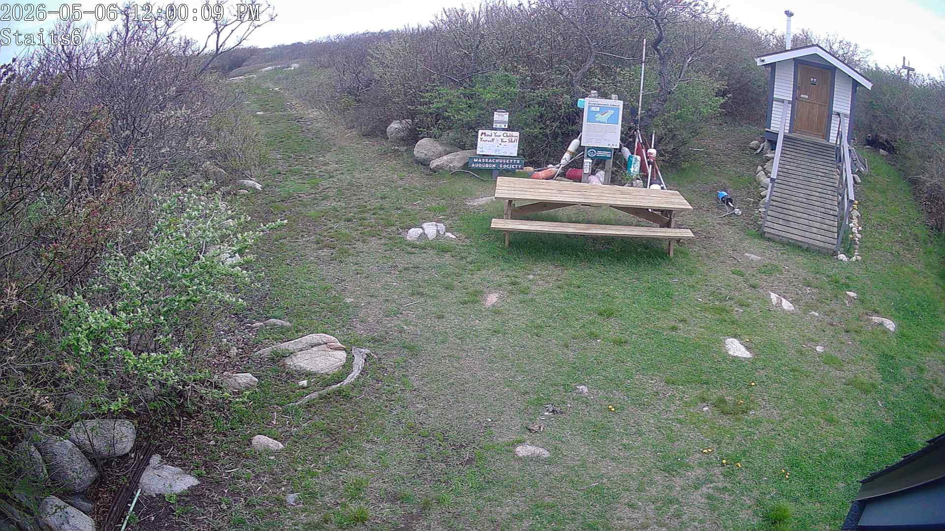 Straitsmouth Island Cam6